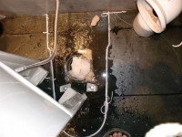 /album/fotogaleria/cimg2348-jpg/